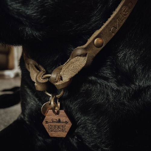WOODY - pet tag // wooden tag hexagon // design wave