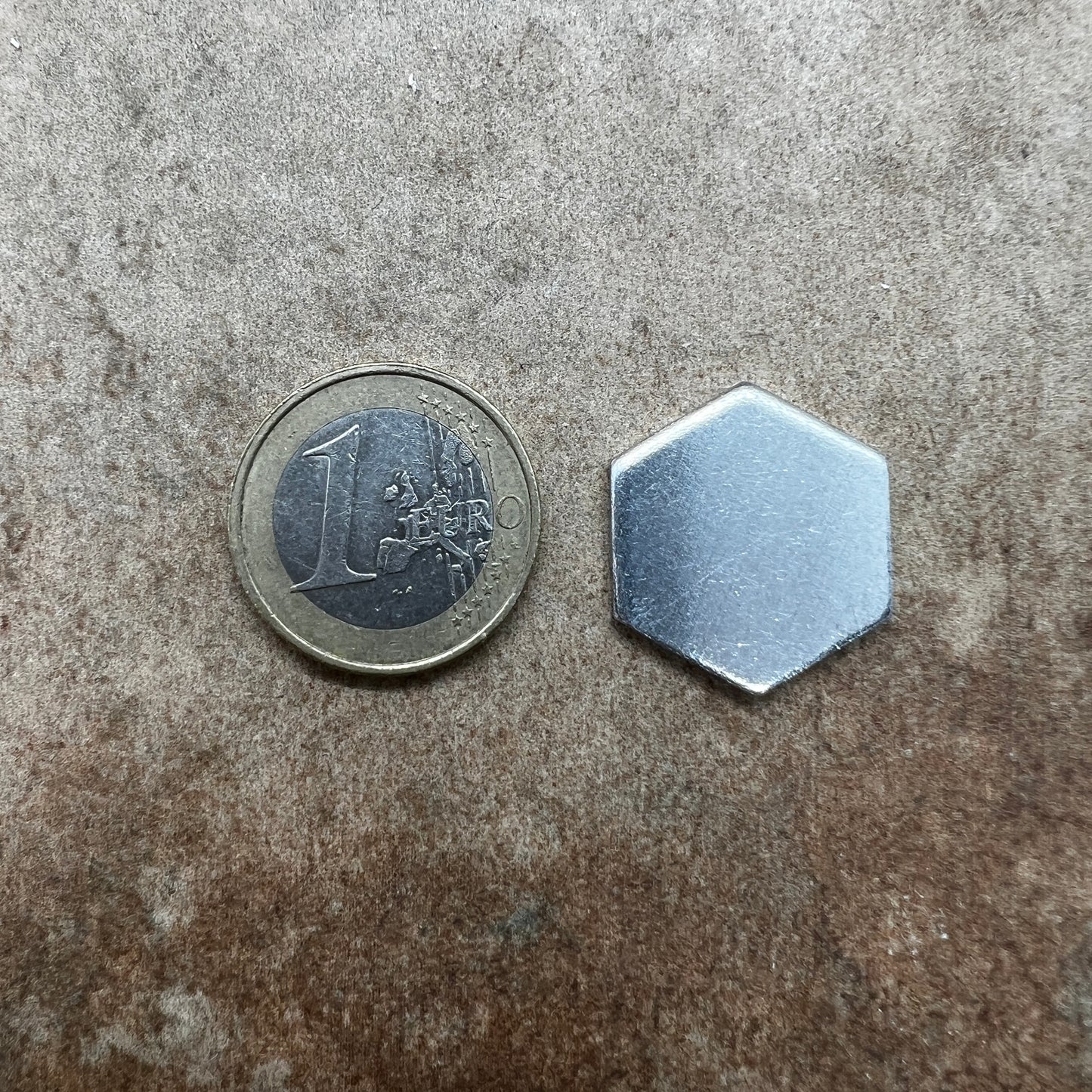 MINI Haustiermarke // Hexagon Aluminium 23mm // verschiedene Designs
